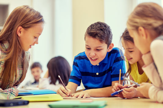 The Differentiated Classroom: A Teacher's Guide to Empowering All Learners